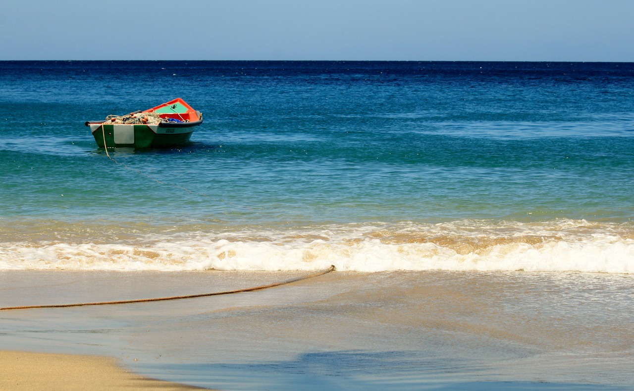 Voyage entre terre et mer en Martinique : 5 arrêts incontournables