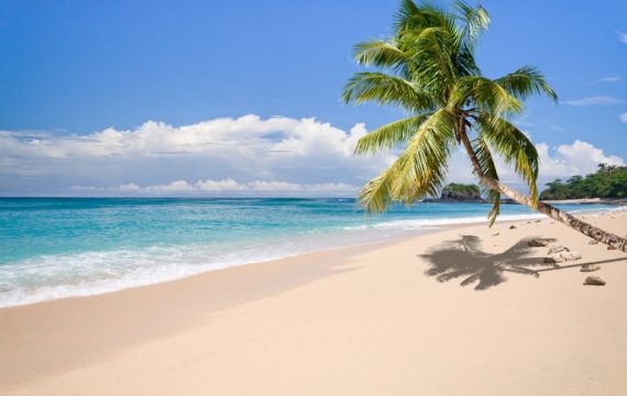 À la découverte de l’île aux Nattes