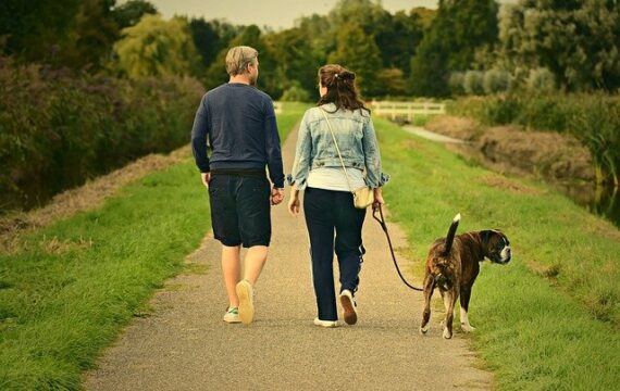 Puis-je emmener mon chien en camping ?